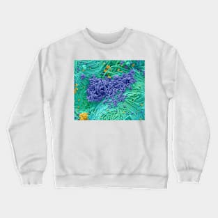 Bacteria found on mobile phone, SEM (C035/8586) Crewneck Sweatshirt